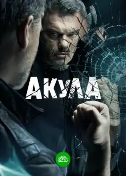 Акула онлайн